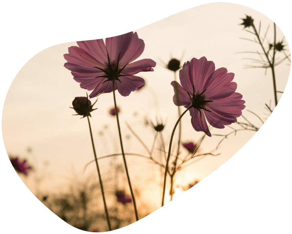 Achtsamkeitstraining in München mit Kerstin Kauska